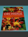 Orchideje krok za krokem k exotické kráse květin Röllke - náhled