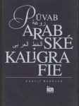 Půvab arabské kaligrafie - náhled