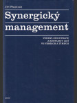 Synergický management - vedení, spolupráce a konflikty lidí ve firmách a týmech - náhled