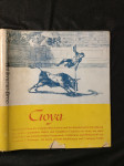 Bild nicht verfügbar Größeres Bild ansehen Goya. Einführung und Auswahl von Hermann T. Wiemann. - náhled