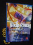 Microsoft Visio 2003 - náhled