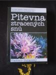 Pitevna ztracených snů - náhled