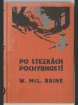 Po stezkách pochybností - náhled