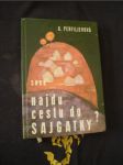 Najdu cestu do Sajgatky? - náhled