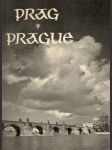 Prag / Prague - náhled
