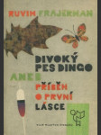 Divoký pes dingo aneb příběh o první lásce - náhled