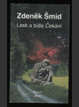 Lesk a bída Čekání - náhled