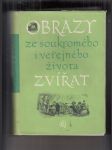 Obrazy ze soukromého i veřejného života zvířat (Studie současných mravů) - náhled