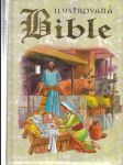 Ilustrovaná bible - náhled