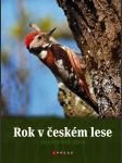 Rok v českém lese - náhled