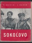 Sokolovo - náhled