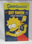 Simpsonovi 2017/3: Bart Simpson - Lízin bratr - náhled