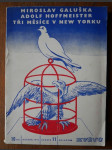 Tři měsíce v New Yorku - náhled