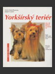 Yorkšírský teriér (Yorksire Terrier) - náhled