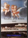 ŠVÉDOVÉ PŘED BRNEM 1645 - Soubor pohlednic vydaných k 350. výročí obléhání Brna Švédy - náhled