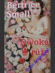 Divoká růže - small bertrice - náhled