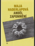 Anděl zapomnění - náhled