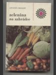 Zelenina na zahrádce - náhled