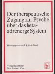 Der therapeutische Zuganh zur Psyche - náhled