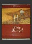 Pieter Bruegel  - náhled