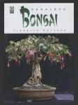 Pokojová bonsai - náhled