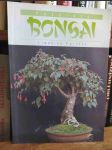 Pokojová Bonsai - náhled