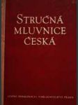 Stručná mluvnice česká - náhled