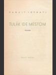 Tulák ide mestom - náhled