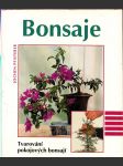 Bonsaje - tvarování pokojových bonsají - náhled