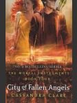 City of Fallen Angels: The mortal instruments - book four - náhled