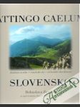 Attingo Caelum Slovensko - náhled