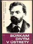 Búrkam divým v ústrety - Janko Kráľ - náhled