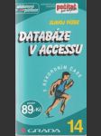 Databáze v Accessu - náhled