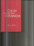 Čech částečným Číňanem - náhled