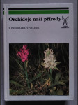 Orchideje naší přírody - náhled