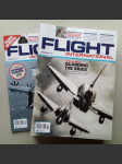 Flyight International. Ročník 2013 - náhled
