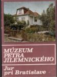 Múzeum Petra Jilemnického v Jure pri Bratislave - náhled
