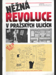 Něžná revoluce v pražských ulicích - náhled