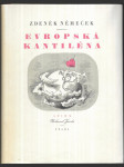 Evropská kantiléna - Román - náhled