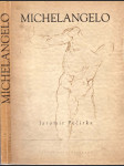 Michelangelo Buonarroti - život a dílo - náhled