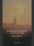 Sprievodca po sakrálnych pamiatkach a cirkevnom živote prešova - náhled