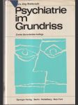 Psychiatrie im Grundriss (veľký formát) - náhled