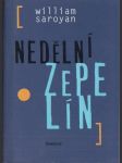 Nedělní zepelín - náhled