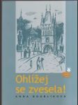 Ohlížej se zvesela (malý formát) - náhled