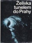 Želivka tunelem do Prahy - náhled