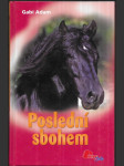 Poslední sbohem - náhled