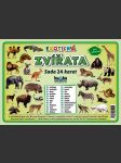 Exotická zvířata - sada 24 karet - náhled
