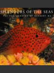 Splendors of the Seas - náhled