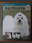 Maltézáček - náhled