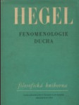 Fenomenologie ducha - náhled